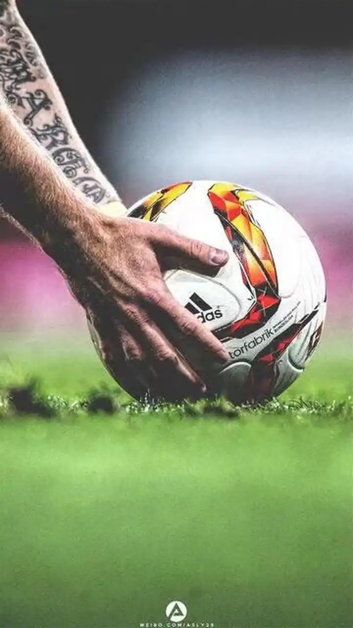 记者报道称 记者报道称