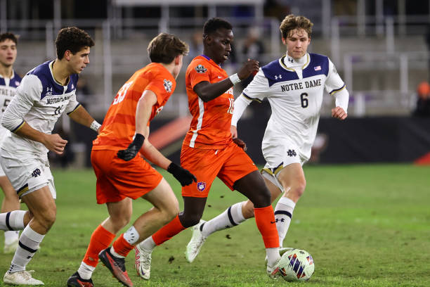 来了新鲜的 来了新鲜的