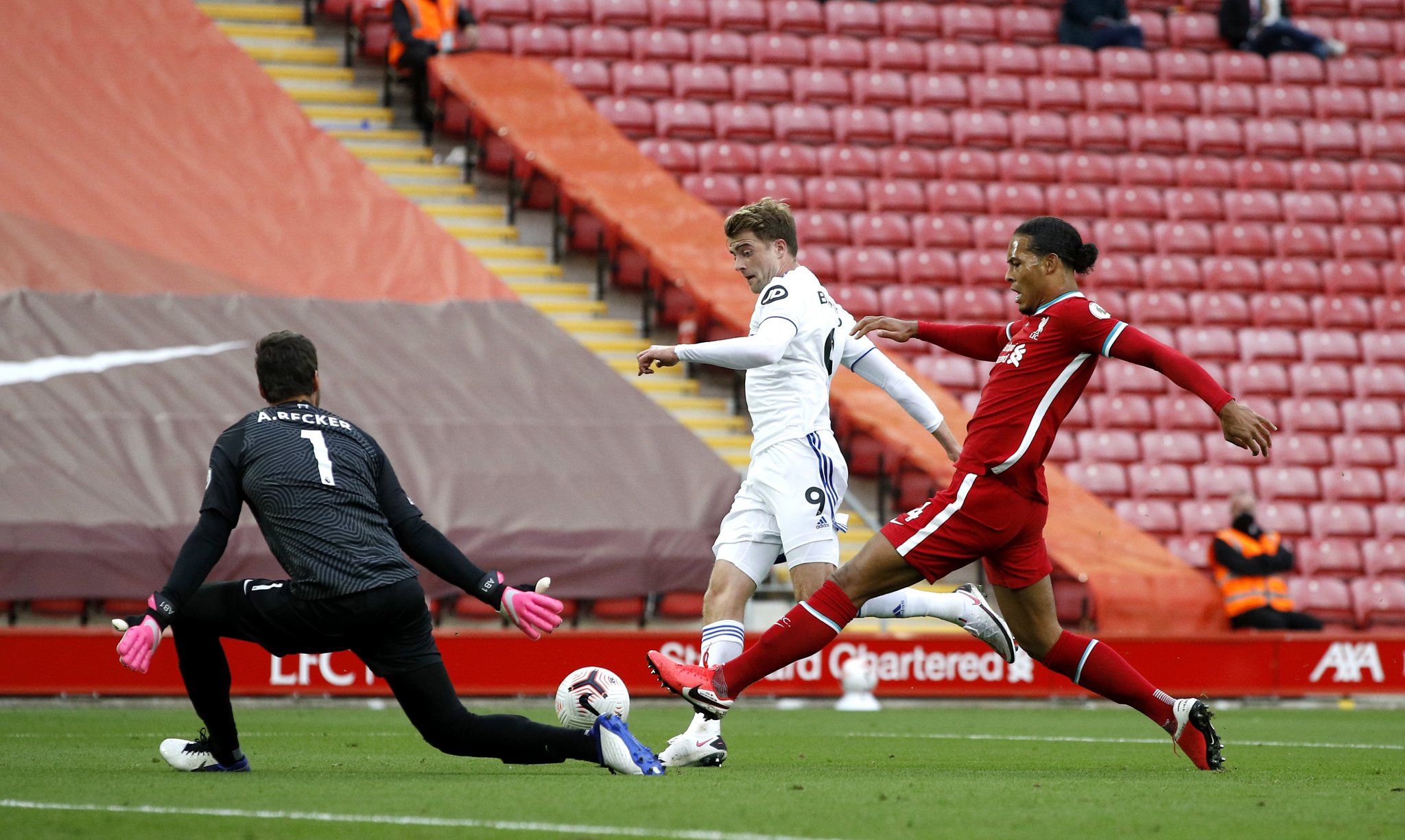 新秀的崛起 新秀的崛起